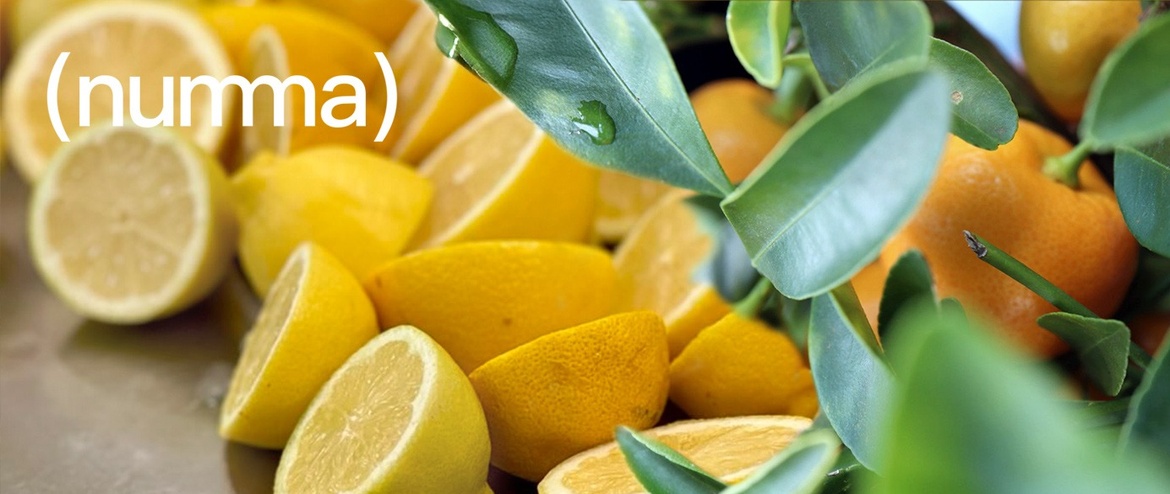 Citrus Brunch for strong women